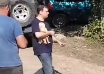 „ღმერთო, აი ამ კაცის შველას გთხოვ…იქნებ „გაუცოცხლო” ეგ თოჯინა?” – ჟურნალისტის ემოციური პოსტი