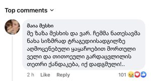 „სიზმრად ნახა ტრაგედიის ადგილზე ყაყაჩოების ველი და თითოეული გარდაცვლილის თეთრი ქანდაკება!...“ - რა წერს ზაზა მესხის და