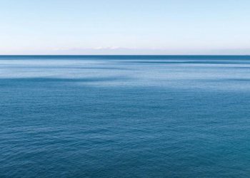 შავი ზღვის წყლის ხარისხის  კვლევის შედეგები ცნობილია