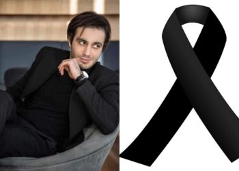 ვინ არის კანადაში ტრაგიკულად დაღუპული ახალგაზრდა ბიჭი