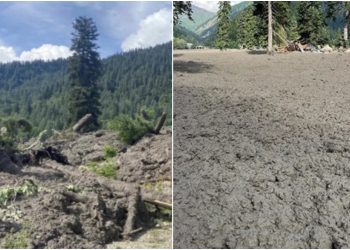 „შოვი აღარ არის მორჩა, საშინელება ხდება…“ – რას აცხადებს სტიქიაში მოყოლილი ადგილობრივი