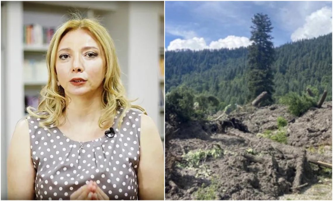 “რა უნდოდა კოტეჯებს ღვარცოფული მდინარეების პირას… არც ვჩერდები ხოლმე იქ” – თეა გოდოლაძე შოვის სტიქიაზე