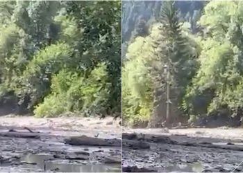 VIDEO: რა ხდება ამ წუთებში შოვში, სადაც მეწყერმა 16 ადამიანი, მათ შორის ბავშვები მოიყოლა