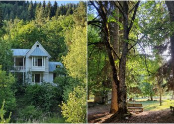 როგორ გამოიყურებოდა კურორტი შოვი სტიქიამდე ცოტა ხნით ადრე