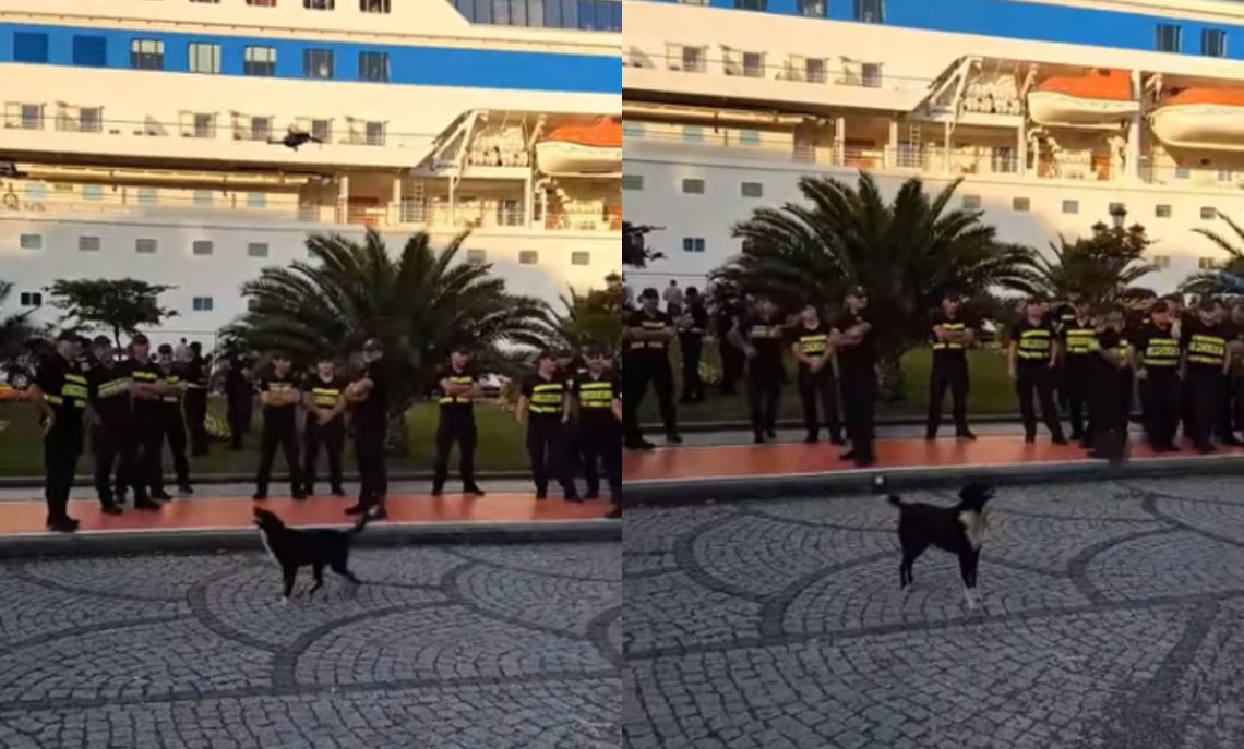 VIDEO: “ცუგა ვერ შეწვდა დრონსაო…” – სახალისო ვიდეო ბათუმის პორტიდან, სადაც რამდენიმე საათით ადრე დაძაბული ვითარება იყო