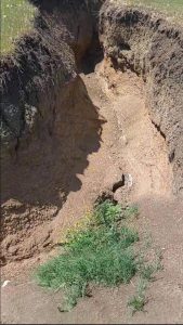 "მუხიანში ხდება, რამდენად საშიშია და რა ხდება?" - რა ფოტოებს ავრცელებს ნატა ფერაძე?