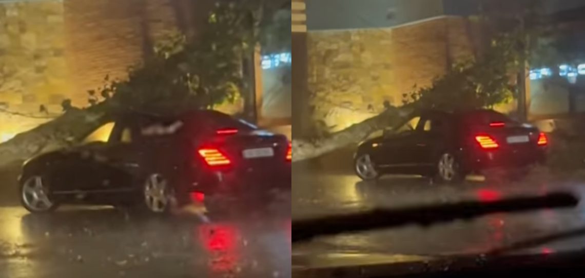 VIDEO: ძლიერი წვიმა თბილისში – კადრები სანაპიროდან, სადაც რამდენიმე ხეა მოგლეჯილი