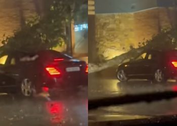 VIDEO: ძლიერი წვიმა თბილისში – კადრები სანაპიროდან, სადაც რამდენიმე ხეა მოგლეჯილი