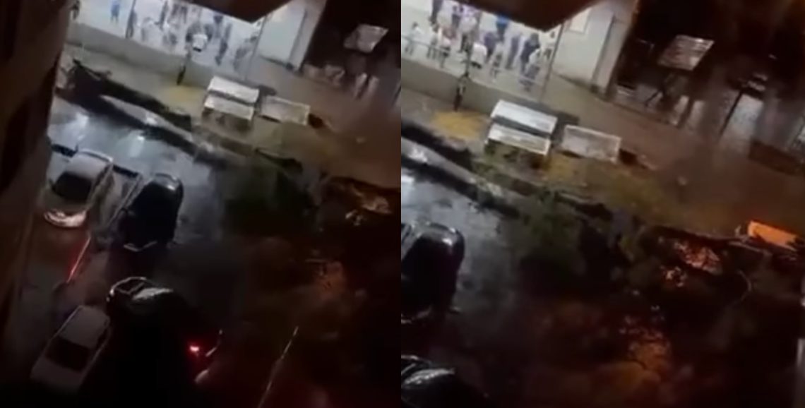 🎥ვაკეში, ხეჩინაშვილის კლინიკასთან დიდი ხე მოტყდა და ავტომობილებს დაეცა