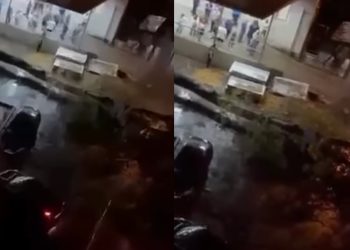 🎥ვაკეში, ხეჩინაშვილის კლინიკასთან დიდი ხე მოტყდა და ავტომობილებს დაეცა