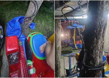 “საბავშვო კურორტ ცემში, ცენტრალურ საბავშვო  პარკში ჩვეულებრივი სასაკლაოა” – რა საგანგაშო ფოტოები ვრცელდება სოციალურ ქსელში