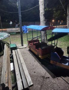 "საბავშვო კურორტ ცემში, ცენტრალურ საბავშვო პარკში ჩვეულებრივი სასაკლაოა" - რა საგანგაშო ფოტოები ვრცელდება სოციალურ ქსელში