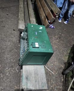 "საბავშვო კურორტ ცემში, ცენტრალურ საბავშვო პარკში ჩვეულებრივი სასაკლაოა" - რა საგანგაშო ფოტოები ვრცელდება სოციალურ ქსელში