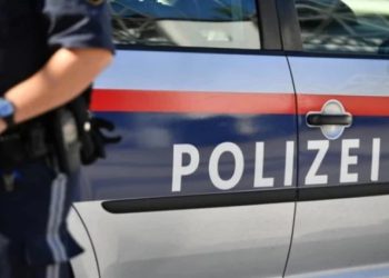 ავსტრიის პოლიციამ დააკავა ქართველი, რომელიც ჭაობში იმალებოდა