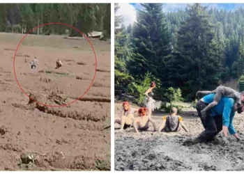 🎥”აი ვიდეო, სადაც ჯელაძეს მოჰყავს დისშვილი… მას მიეშველა შალვა ბელაშვილი, ის არის გმირი, სიცოცხლე დადო სასწორზე” – რა ვიდეო ვრცელდება სოციალურ ქსელში?