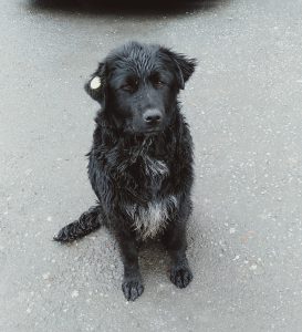 „რა დაგიშავა შე არაკაცო, თავისთვის იწვნენ და ეძინათ“ - რას წერს სოციალური ქსელის მომხმარებელი?