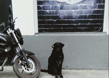 „რა დაგიშავა შე არაკაცო, თავისთვის იწვნენ და ეძინათ“ – რას წერს სოციალური ქსელის მომხმარებელი?