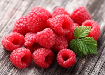 ჟოლო და მისი სასარგებლო თვისებები