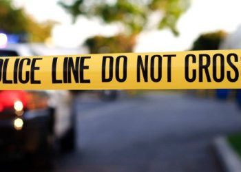 ქურდობის ბრალდებით, აშშ-ში ორ ქართველ მამაკაცს ეძებენ