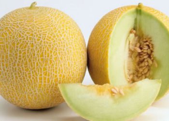 ნესვის სასარგებლო თვისებები