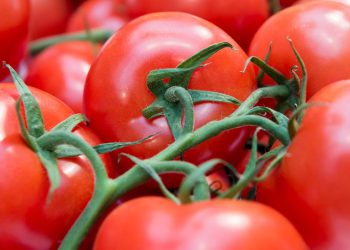 რა სასარგებლო თვისებები აქვს და როდის მივცეთ ბავშვს პომიდორი