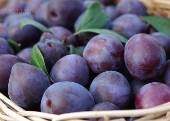 ქლიავი – სასარგებლო და სამკურნალო თვისებები