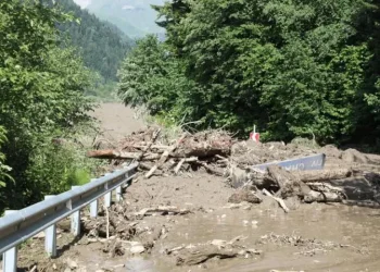 “საფრთხე არ გვემუქრება. სადაც ვართ, უსაფრთხოდ ვართ. ველოდებით მაშველებს” – შოვში რუსთავის ერთ-ერთი სკოლის 60-მდე მოსწავლე და მასწავლებელია ჩარჩენილი