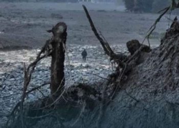 არის თუ არა შოვში ეპიდემიის გავრცელების საფრთხე