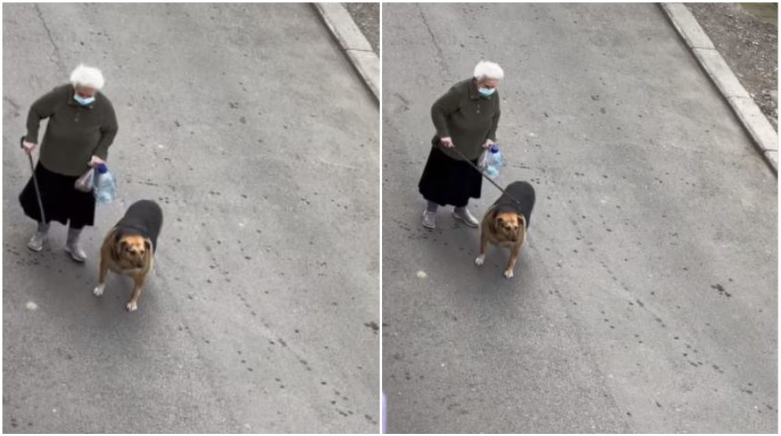 VIDEO: „ანახეთ ეს კადრები ყველას“ – რა ემოციური ვიდეო ვრცელდება სოციალურ ქსელში