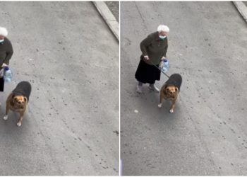 VIDEO: „ანახეთ ეს კადრები ყველას“ – რა ემოციური ვიდეო ვრცელდება სოციალურ ქსელში