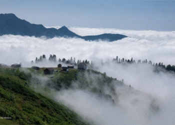 📷 “ასე გვიყვარს საქართველო? ამ ხედის ყურებით ასეთი სიბინძურიდან ტკბებით?” – ნახეთ, რა ფოტო ვრცელდება გომის მთიდან