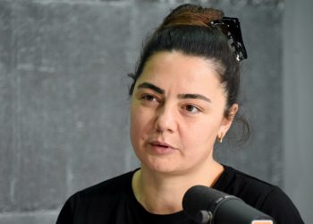 “ევროპელ ქალზე ამბობენ,  ჩვენ წასვლის ნებას არ ვაძლევთო, რატომ არ ვაძლევთო, არ იძახიან – რას წერს ელისო ჯანაშია