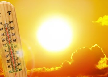 10 სასარგებლო რჩევა ზაფხულის ცხელი დღეების გადასაგორებლად