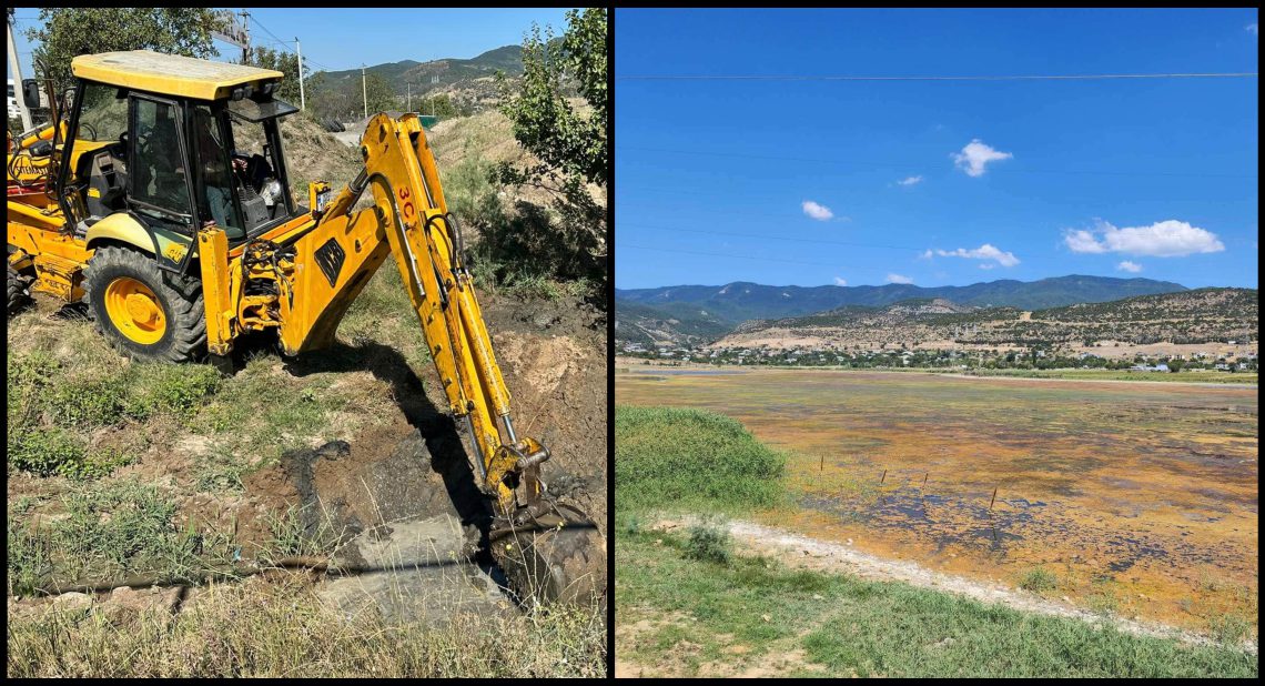 აქცია-პერფორმანსი გლდანის ტბის გადასარჩენად –  ადგილობრივები არხების გაწმენდას ითხოვენ
