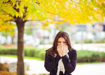 რომელი მცენარეები იწვევენ ალერგიას შემოდგომის დღეებში