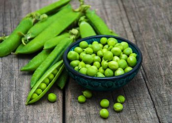 ბარდის სასაგებლო თვისებები