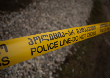 “გაშველების დროს შვილმა მცირე დაზიანება მიიღო” – ბოლნისში მომხდარი სასტიკი მკვლელობის ახალი დეტალები