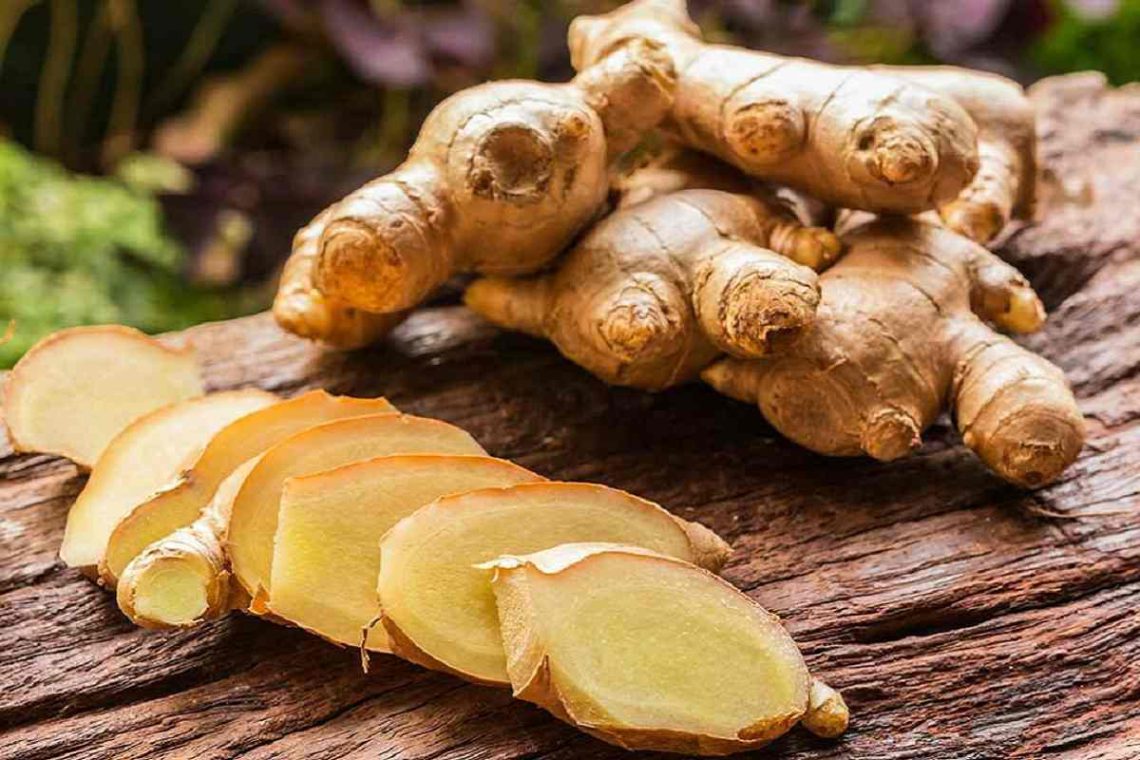 რა უნდა ვიცოდეთ ჯანჯაფილზე – ნახეთ, მისი უნიკალური თვისებები