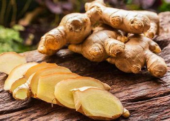 რა უნდა ვიცოდეთ ჯანჯაფილზე – ნახეთ, მისი უნიკალური თვისებები