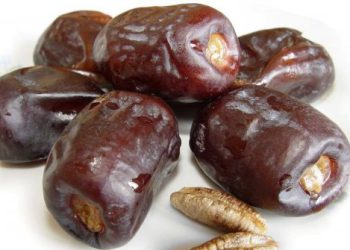 10 ცალი ფინიკის 10 უნიკალური თვისება