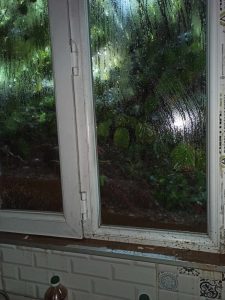 რა მდგომარეობაა სტიქიის შედეგად დაზარალებულ სოფელ ნინოშვილში - ფოტოები