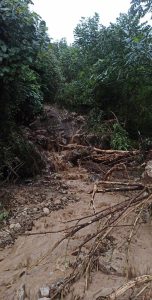 რა მდგომარეობაა სტიქიის შედეგად დაზარალებულ სოფელ ნინოშვილში - ფოტოები