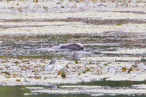 🎥 “წავები მცხეთაში” - რა კადრები ვრცელდება სოციალურ ქსელში