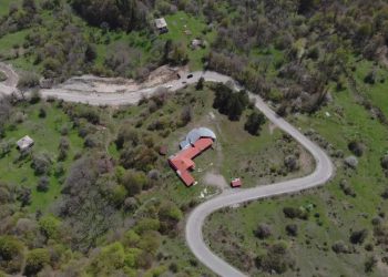 โแแแ แแแแฃแ แแแแแแแแแแ แแแซแ แแแแ แจแแแแฆแฃแแแแโ -แกแแแแขแแแแแแแ แแแแแแก แแแแแ แขแแแแแขแ