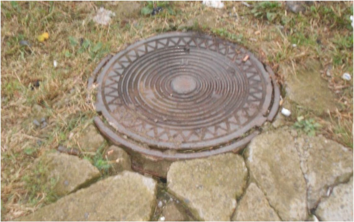 “მაშველებმა 6 მეტრის სიღრმის საკანალიზაციო ჭიდან მიუსაფარი ძაღლი ამოიყვანეს” – რა ფოტოები ვრცელდება სოციალურ ქსელში