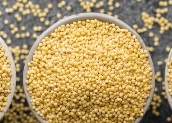 ფეტვის სამკუნალო თვისებები