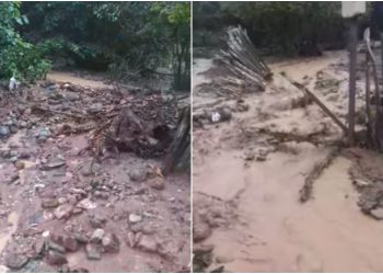 VIDEO: “გვიშველეთ” – მამათში მოსახლეობა დახმარებას ითხოვს