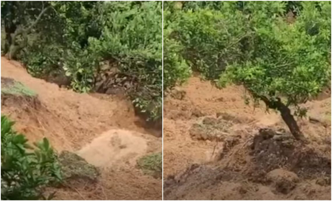 VIDEO: “სახლთანაა მეწყერი მოსული, რა დროს წაგვიღებს არ ვიცი” – ნატანებში ოჯახი დახმარებას ითხოვს