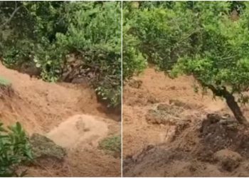 “რა გვეშველება… წვიმა გრძელდება” –  სუფსაში მცხოვრებლების კომენტარი