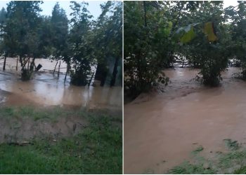 “სახლში გათევაც კი საფრთხეს წარმოადგენს. სად წავიდე ორი ობლად დარჩენილი ბიჭები ვართ” – ლანჩხუთელი გურამ ბერიძე დახმარებას ითხოვს